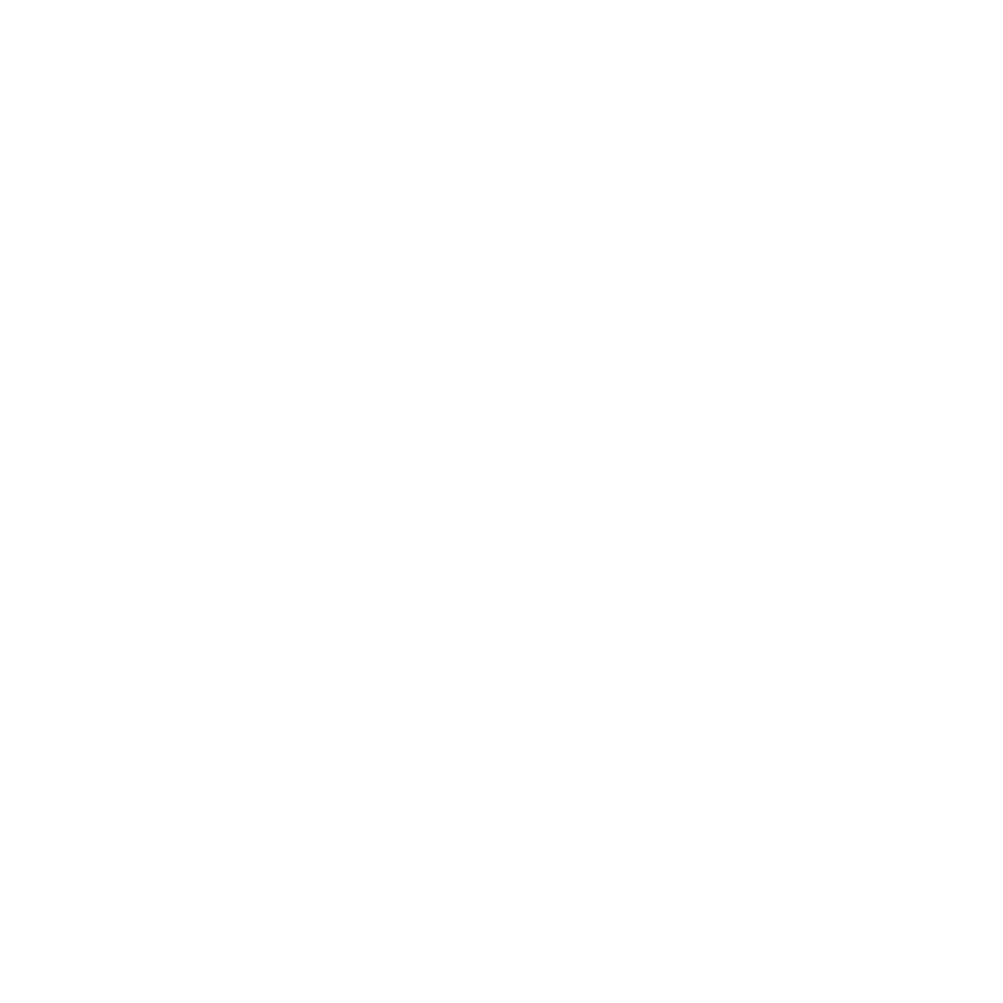 Partners Icon