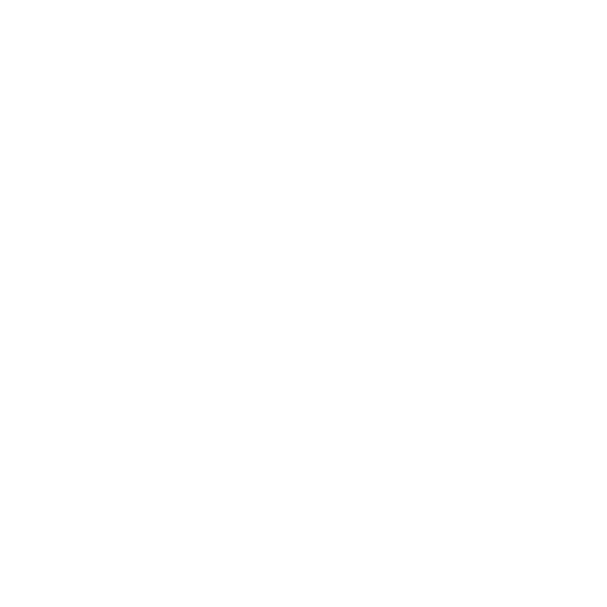 Countries Icon